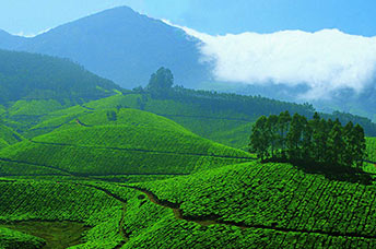 9 Days 8 Nights Kerala  Packages - South chalo