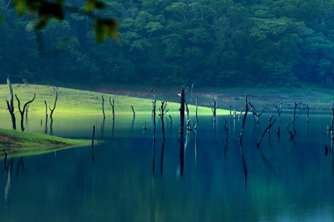 thekkady Munnar tour package - cochi, southchalo